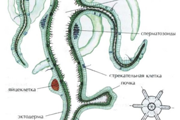 Блэкспрут зеркало кракен