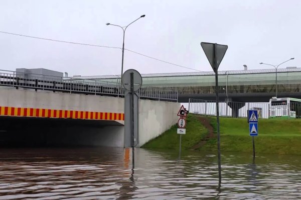 Модератор на кракене